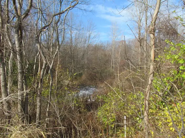 0 W Marquette Woods Road, Stevensville, MI 49127