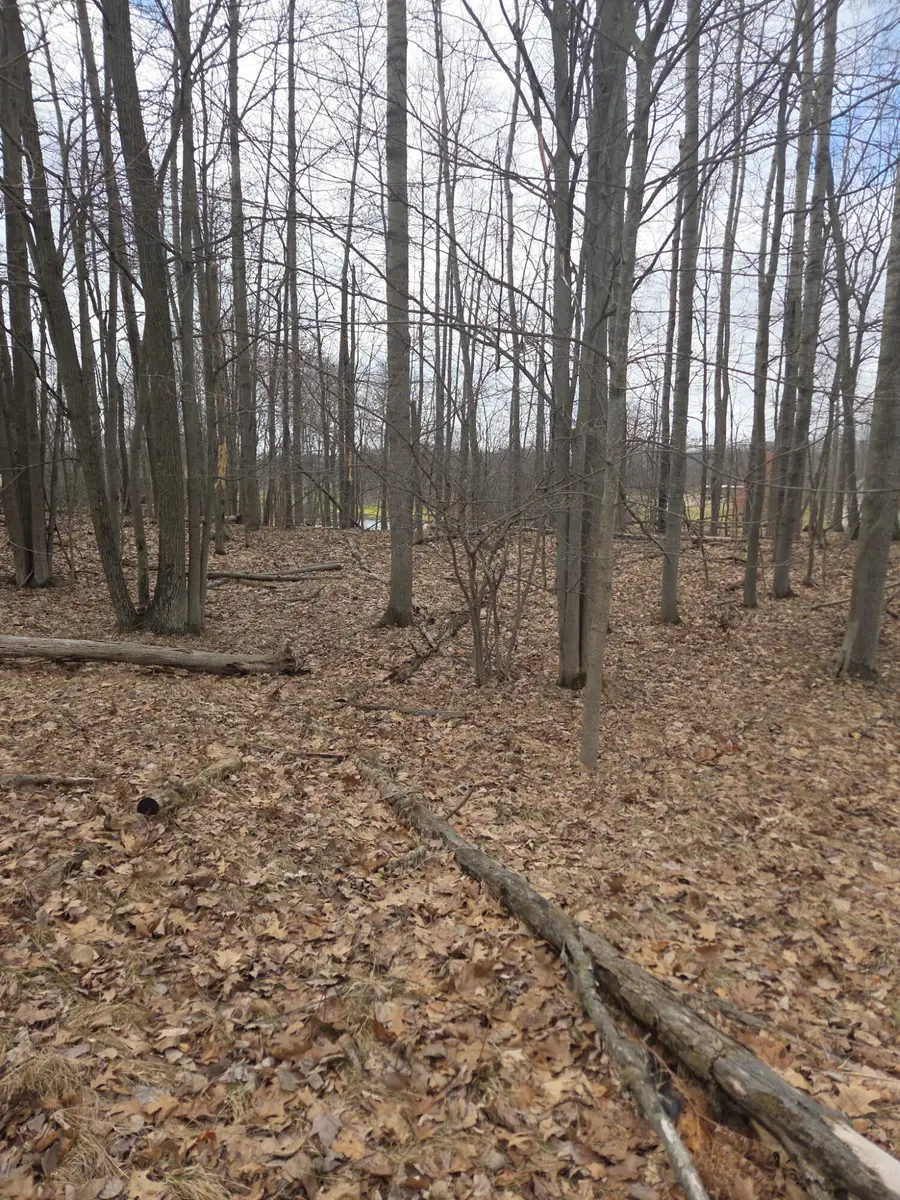 9361 St. Ives Drive #32, Stanwood, MI 49346 - #3