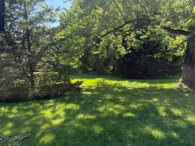 413 Brewer Street, Marshall, MI 49068 - #2