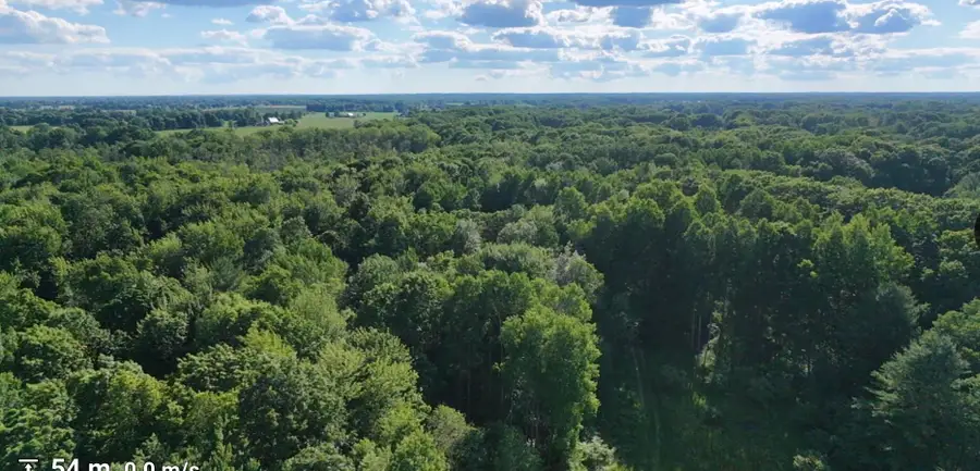 V/L Woods Road, Sidney, MI 48885 - #3
