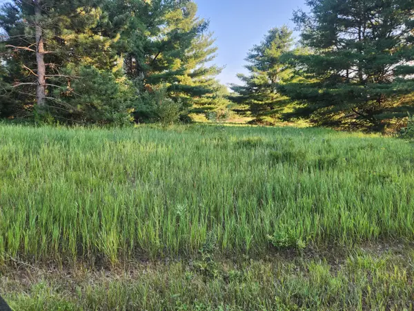 11535 Pierce Road #786, Canadian Lakes, MI 49346