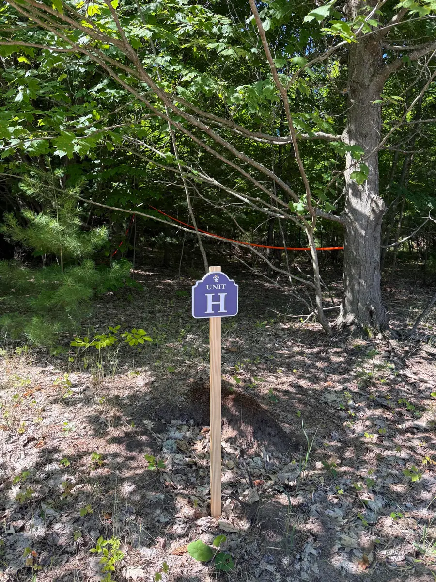 Sadie Ln #Parcel 'H', Bear Lake, MI 49614 - #3