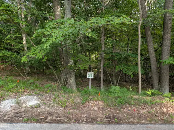 N Silver Ridge Road #Lot 31, Mears, MI 49436