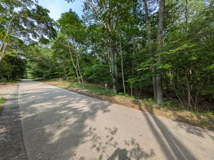N Silver Ridge Road #Lot 31, Mears, MI 49436 - #2