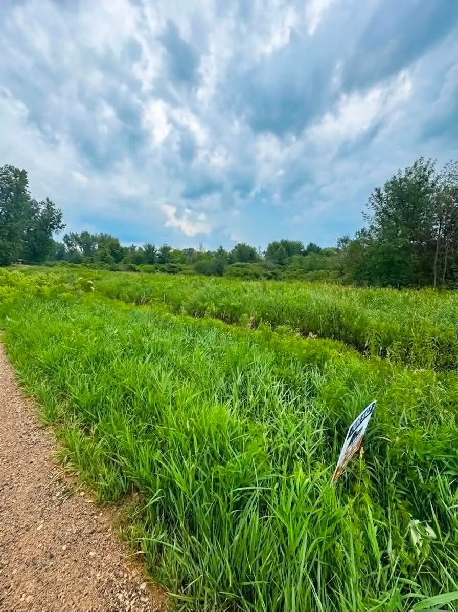 60196 County Road 376, Bangor, MI 49013 - #2