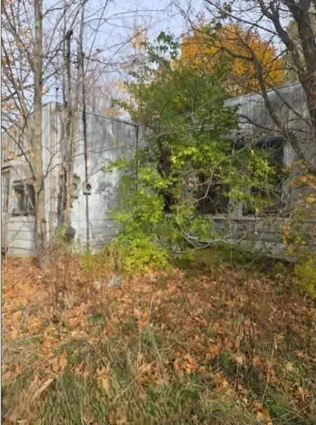 10044 8 Mile Road, Ceresco, MI 49033 - #3