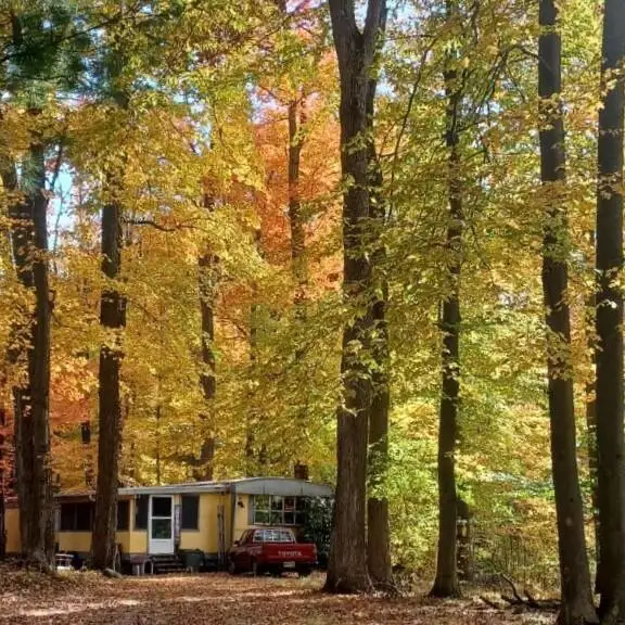 2776 19 Mile Road Ne, Cedar Springs, MI 49319 - #1