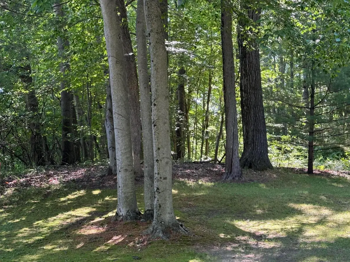 4925 S Gordon Road Ne, Newaygo, MI 49337 - #1