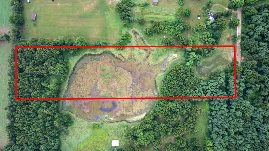 6710 Moreland Road, Jonesville, MI 49250 - #2