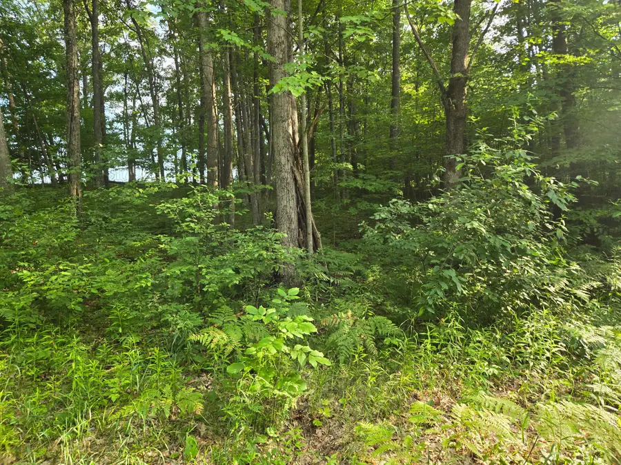 8207 N Hunters Ridge Drive, Irons, MI 49644 - #3
