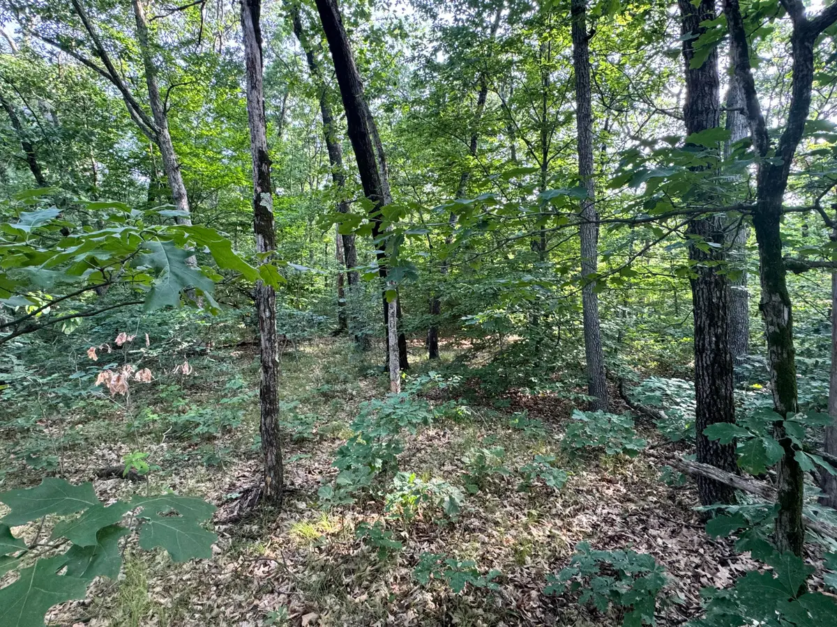 V/l E Washington Street, White Cloud, MI 49349 - #1