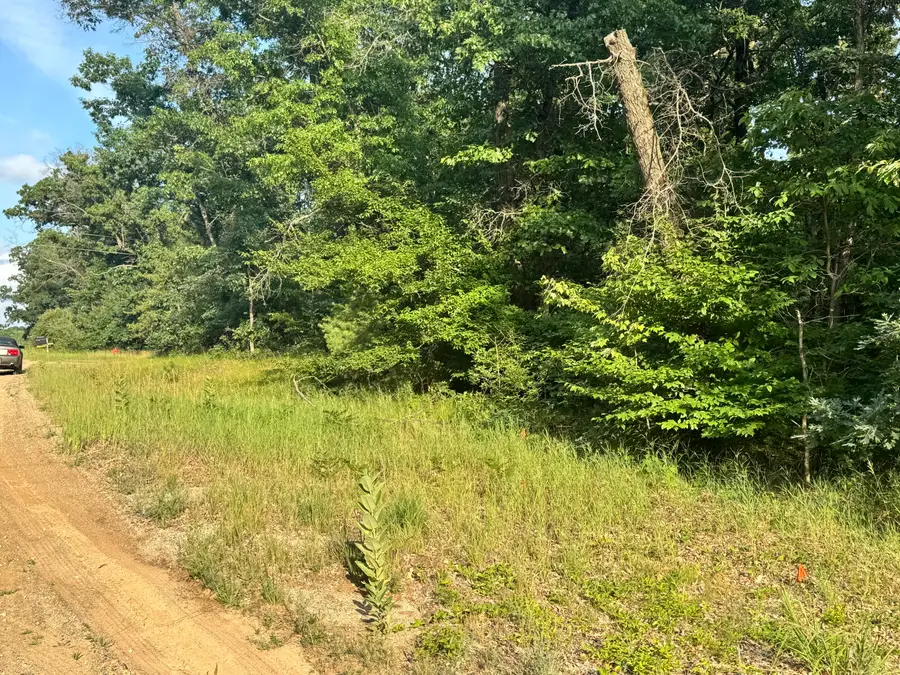V/l E Washington Street, White Cloud, MI 49349 - #2