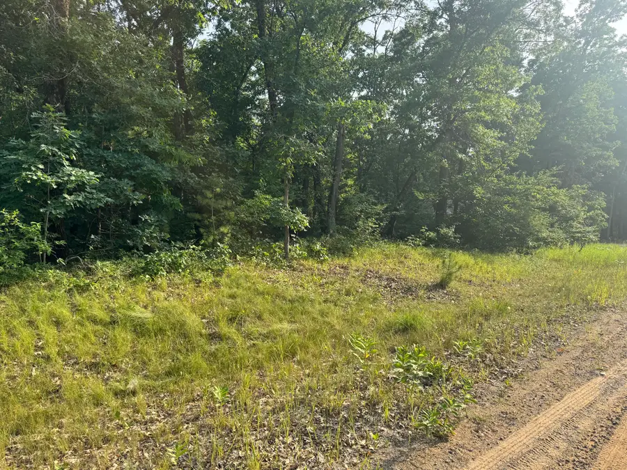 V/l E Washington Street, White Cloud, MI 49349 - #3