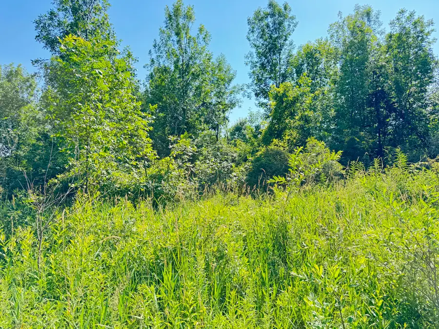 13513 100th Street Se, Alto, MI 49302 - #3