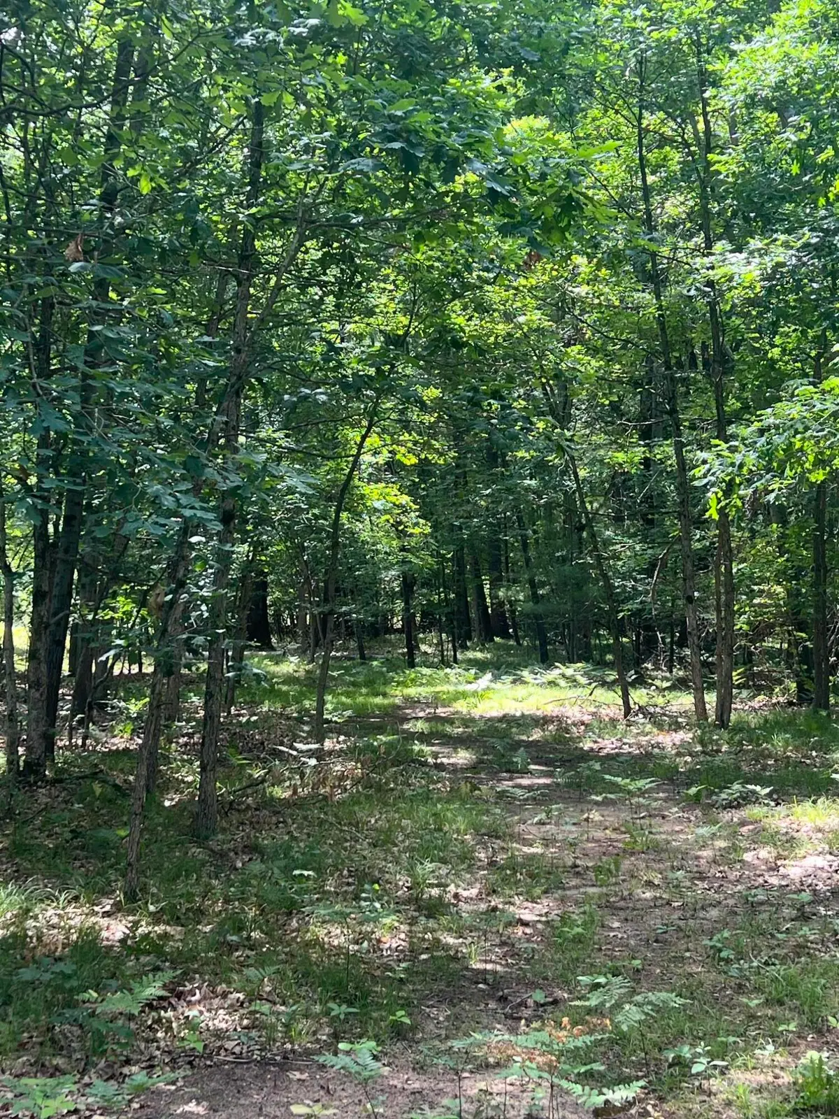 8268 B S Ferris Avenue, Newaygo, MI 49337 - #1