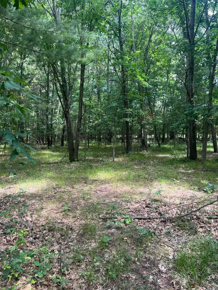 8268 B S Ferris Avenue, Newaygo, MI 49337 - #2