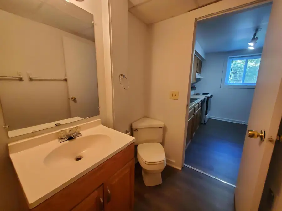 428 N Washington Street, Ypsilanti, MI 48197 - #3