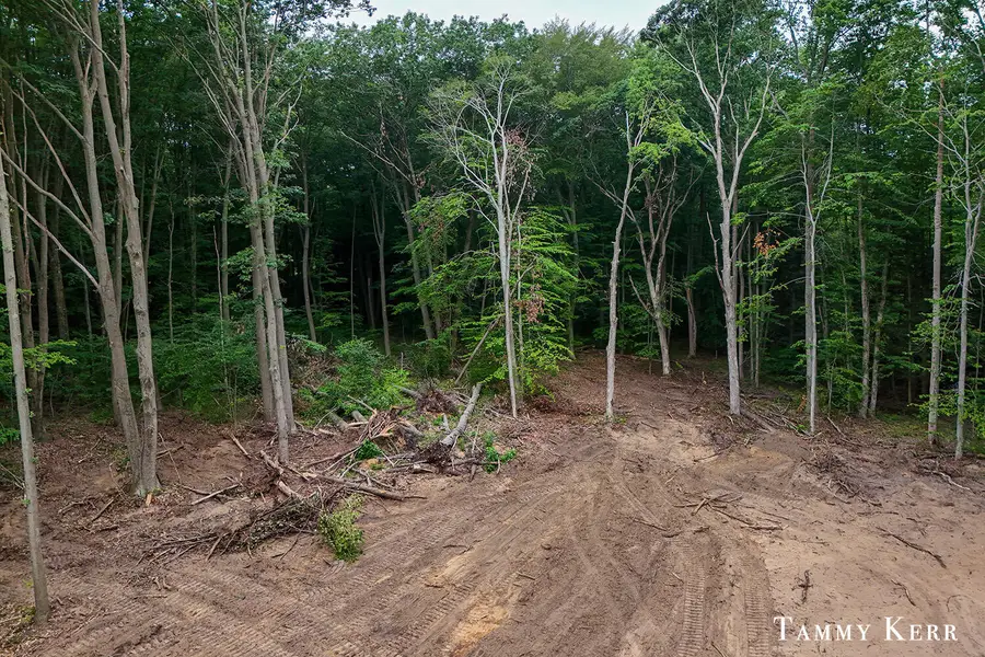 63rd Street #Remainder, Saugatuck, MI 49453 - #3