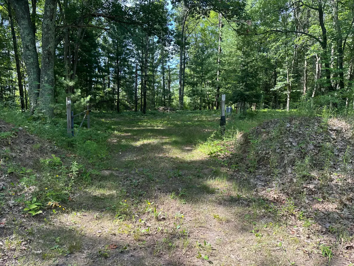 802 Beaver Road, Bitely, MI 49309 - #1