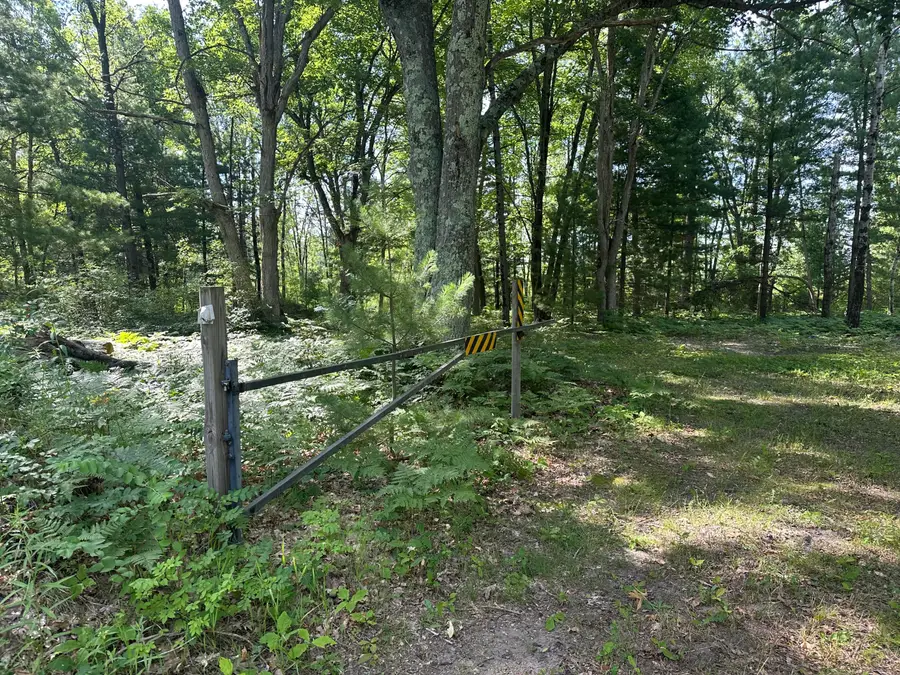 802 Beaver Road, Bitely, MI 49309 - #2