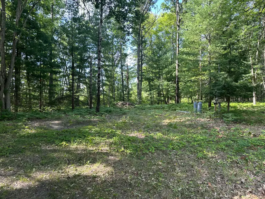 802 Beaver Road, Bitely, MI 49309 - #3