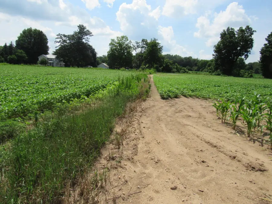 Farrand Road, Colon, MI 49040 - #3
