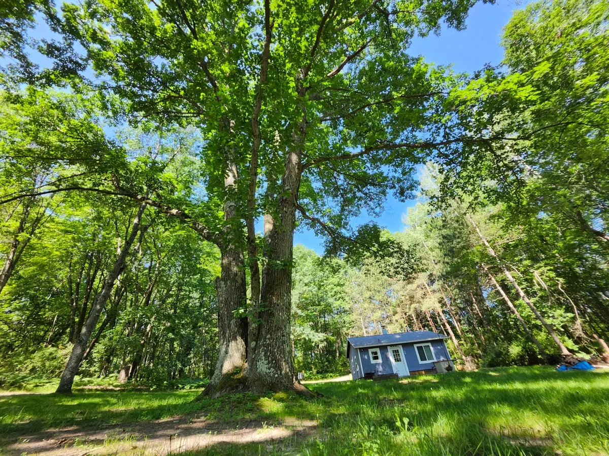2867 E Hawley Road, Custer, MI 49405 - #1