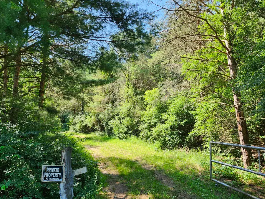 2867 E Hawley Road, Custer, MI 49405 - #2