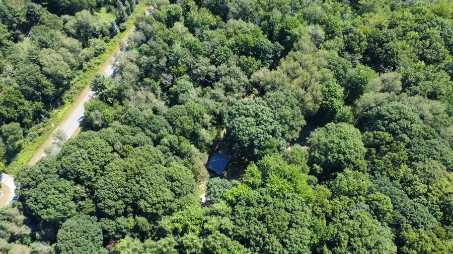 2867 E Hawley Road, Custer, MI 49405 - #3