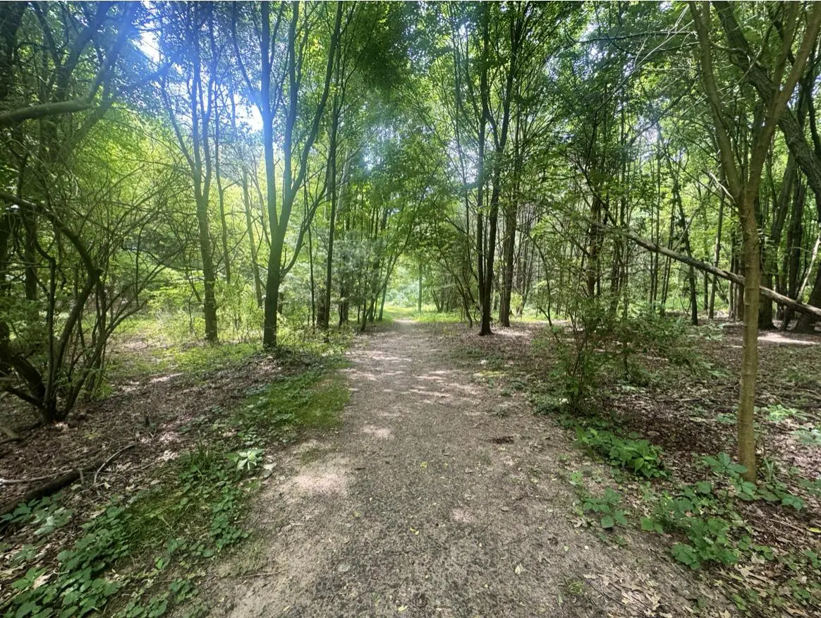 7705 Youngman Road, Greenville, MI 48838 - #1