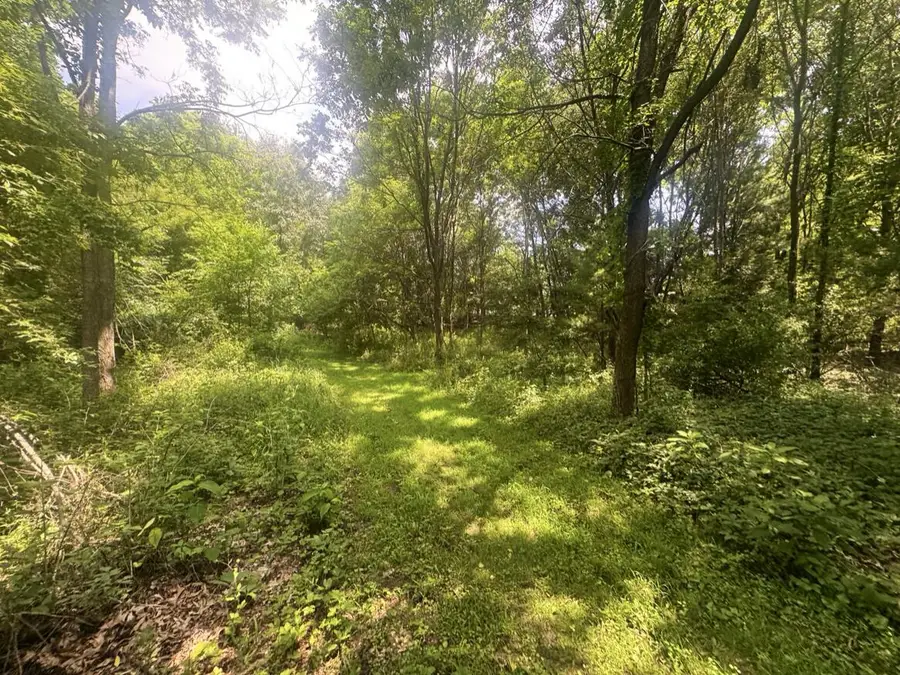 7705 Youngman Road, Greenville, MI 48838 - #3