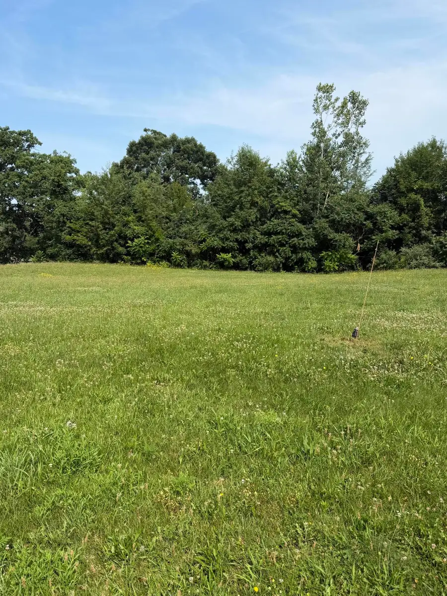 V/L20 Old 16 Rd Road, Centreville, MI 49032 - #2