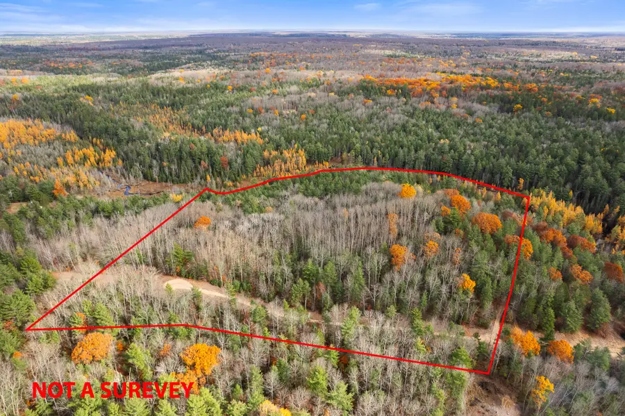 V/L Glenrose Drive, Wolverine, MI 49799 - #2