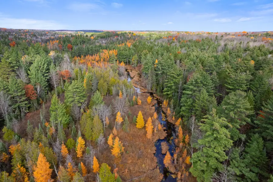 V/L Glenrose Drive, Wolverine, MI 49799 - #3