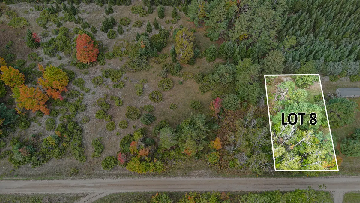 V/L Trout Creek Road, Cheboygan, MI 49721 - #1