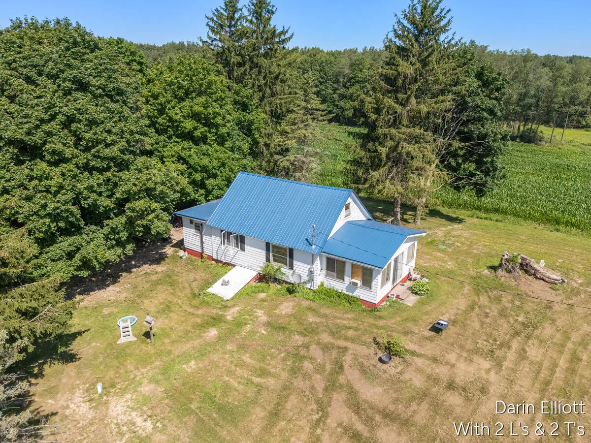 3703 N Cedar Lake Road Ne, Edmore, MI 48829 - #1
