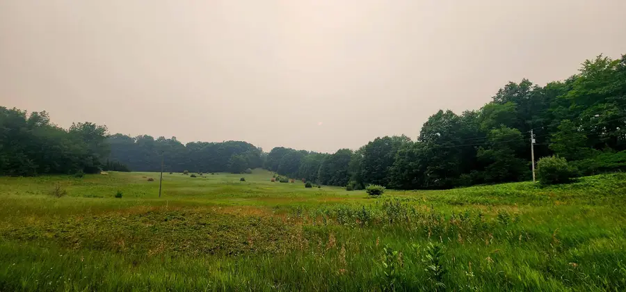 W Grant Road, Shelby, MI 49455 - #2