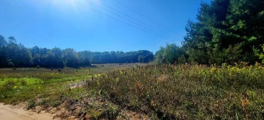 W Grant Road, Shelby, MI 49455 - #3