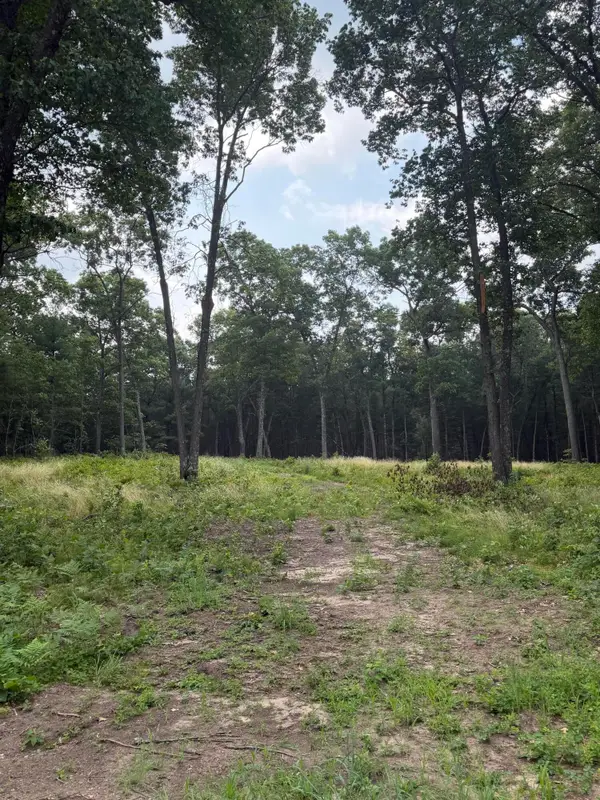 1099 Chicago Drive #Lot 20, Whitehall, MI 49461
