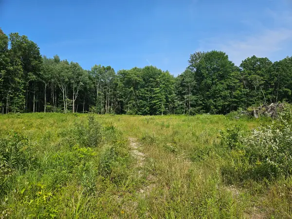 V/L 54th Street, Fennville, MI 49408