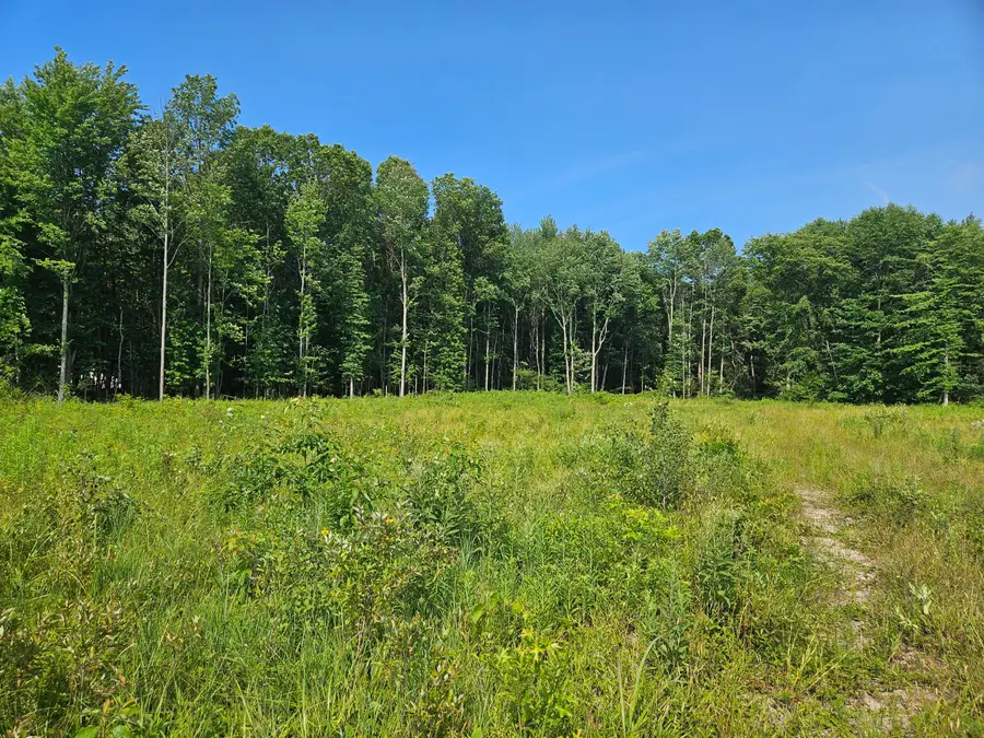 V/L 54th Street, Fennville, MI 49408 - #2