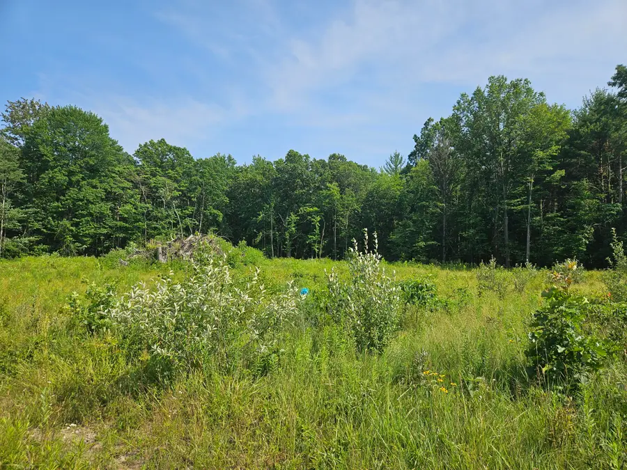 V/L 54th Street, Fennville, MI 49408 - #3