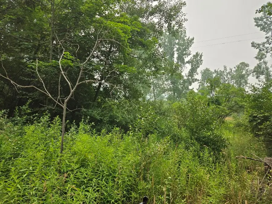 13939 Taft Road, Big Rapids, MI 49307 - #3