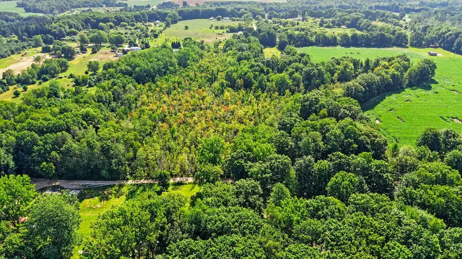 V/L E Woodland Drive, Six Lakes, MI 48886 - #3
