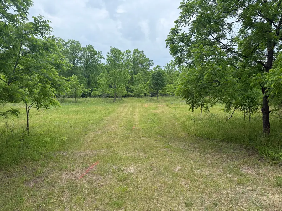 115 40th Street #Lot 1, Allegan, MI 49010 - #3