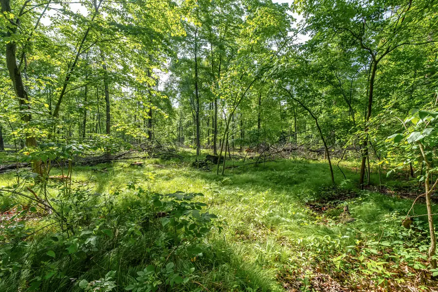 10905 E Shore Drive, Portage, MI 49002 - #3