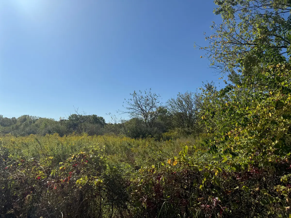 13129 Macon Road, Saline, MI 48176 - #1