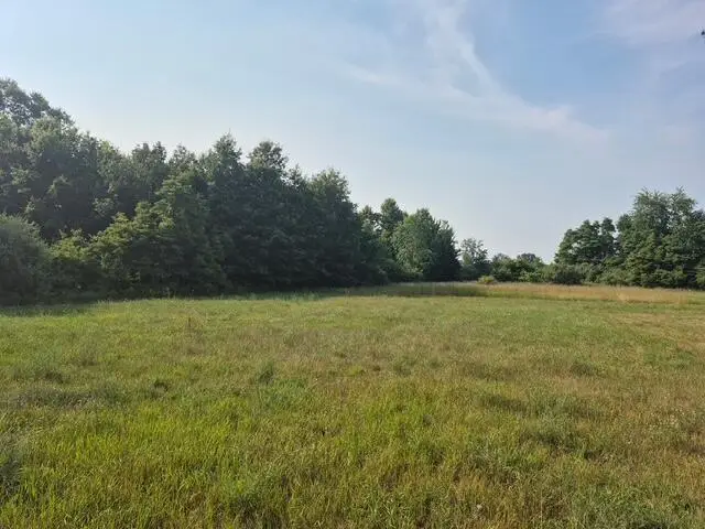 13761 "A" New Holland Street, Holland, MI 49424 - #3