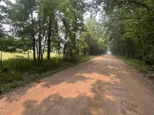 6800 37th Street, Gobles, MI 49055 - #3