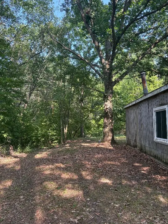 14420 Roosevelt Road, Mecosta, MI 49332 - #2